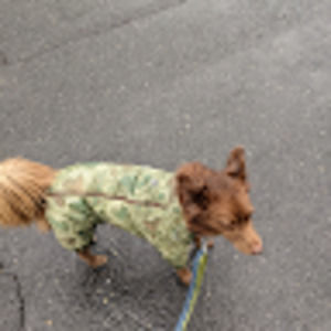 Meet your Posher, Jayanta